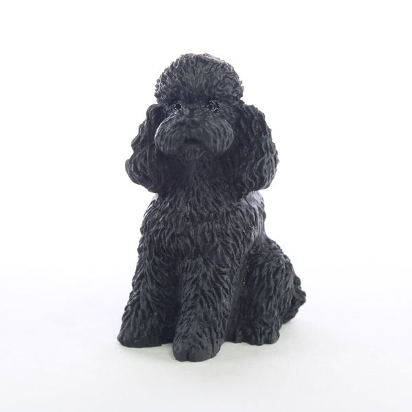 Conversation Concepts Poodle Black W/Sport Cut Tiny One Figurine