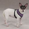 Casual Canine Mesh Dog Harness, X-Large, Purple