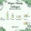 [MIZON] PHYTO PLUMP COLLAGEN TONER (150 ml) Korean Skin Care - Hydrating Toner for Improved Moisture Binding, Wrinkle Reduction and Skin Soothing - Vegan Care