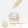 The Potions Serum for Face (Q10 Ampoule)