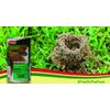 Surrender Fire Ant 1lb