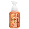 Bath & Body Works Gentle Foaming Hand Soap Peach Bellini