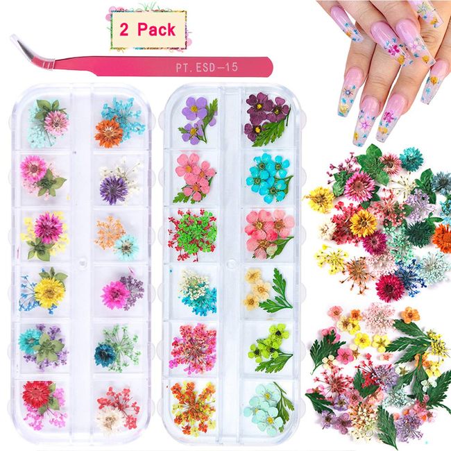 2 Boxes Dried Flowers for Nail Art, KISSBUTY 24 Colors Dry Flowers Mini Real Natural Flowers Nail Art Supplies 3D Applique Nail Decoration Sticker for Tips Manicure Decor (Gypsophila Flowers Leaves)