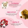 Briogeo Don’t Despair, Repair Deep Conditioning Hair Mask for Dry, Damaged or Color Treated Hair | Repairs Straight, Wavy and Curly Hair | Vegan, Phalate & Paraben-Free | 59ml