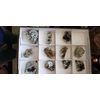 Rocks Crystals and Minerals from The Americas (Fluorite - Root Beer)