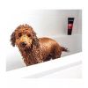 Animology Dogs Body Shampoo, 250ml