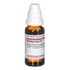 Plantago major D1 DHU Dilution, 20 ml Lösung