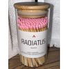 Radiatus Regular Stick Pink Tip Matches 4 Inch Refill 100 pcs Glass Container