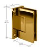 CRL GEN037BR Brass Geneva 037 Wall Mount Full Back Plate Standard Hinge