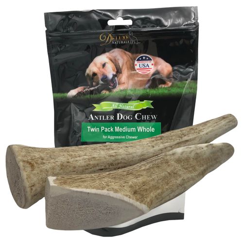 Deluxe Naturals 2-Pack Medium Whole Elk Antler Dog Chews for Small and Medium Dogs Under 40 lbs (5.5-8+ Inch) | Long Lasting Chew for Aggressive Chewers | Natural Teeth Cleaning Dog Bone