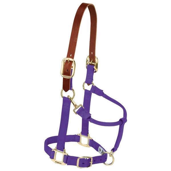 Weaver Leather Nylon Adjustable Breakaway Horse Halter, Average, Purple