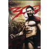 300〈スリーハンドレッド〉 [DVD]