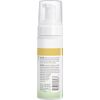 Burt's Bees Refreshing Foaming Cleanser and Natural Face Wash with Cucumber and Mint, 4.8 Fl Oz