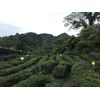 Keemun First Grade Gongfu Black Tea, 100 grams