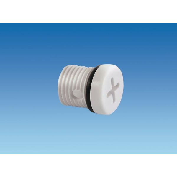Truma Carver Cascade Water Heater Drain Plug to suit MkII Version pre 1987 with a Cross Slot Head.