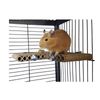 Totally Degu Corner Platform 2 Pack