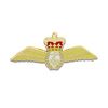 Fleet Air Arm Lapel Badge