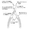 Gamakatsu LE119 Split Ring Pliers, 5.9 inches (15 cm)