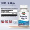 KAL Mega Mineral Supplement 120 Count Vegetarian Magnesium Chelated Tablets