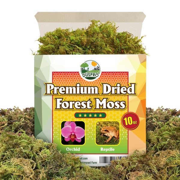 DUSPRO Dried Forest Moss for Potted Plants Orchid Moss Potting Mix Indoor Ideal Moist Repotting Sphagnum Orchid, Terrarium Decor, Natural Reptile Vine (8 Quarts)