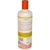 Mill Creek Candy Cane Lotion - 16 fl. oz./ 473 ml