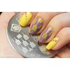 Nail Art Stamping Template Badge Theme Image Plate Stamper Scraper Kit BP 27