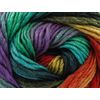 King Cole Riot Chunky 100g - 623 Rainbow