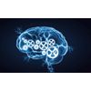 Memory vitamins - BRAIN & MEMORY BOOSTER FORMULA - natural mood enhancer - 2 Bot