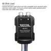 Recoil MLOC2 2-Channel Smart Micro Line Output Converter, 60 Ohm Load Impedance