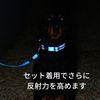 ROGZ Half Chain Collar, XL, Orange (Genuine Import)