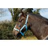 Rhinegold Nylon Headcollar - Full - Baby Blue