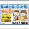 [2 drugs] Taisho Kampo Gastrointestinal Medicine 48 capsules