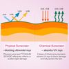 AESTHTANY sunscreen lotion for adults