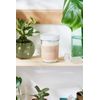 Detox bath epsom salt clay essential oil soak