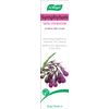 A.Vogel Comfrey Cream 35GR