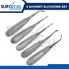 5 Pcs Bayonet Elevators Set Dental Extraction Instruments Stainless German Grade