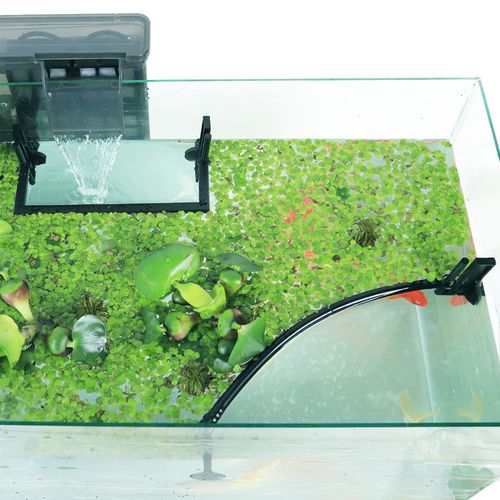 HOZOE Aquarium Floating Plant Corral, Intercepting Floating Plants from Filters and Heaters, Adjustable Height with Water Level, Can Be Used to Framed and Frameless Aquariums. (Combo Pack).