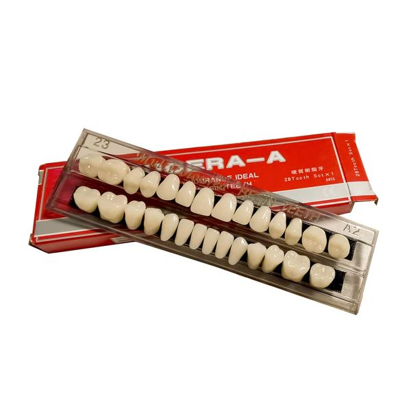 ShuaWdk Teeth Chipped First Aid False Teeth Denture Care Dental Acrylic Resin Denture Kit Halloween Horror Props White Denture 23 Up & Down Dentistry 28pcs/set (Denture A2)