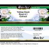 Bianca Rosa Yellow Dock Root 4:1 Extract Cream (2 oz, ZIN: 524229) - 3 Pack