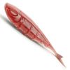 Nays SPLT 35 8,9cm 3g - 9 Gummifische, Farbe:C-08