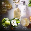 Molton Brown Orange & Bergamot Body Lotion 300 ml