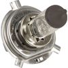 Bulb  fits Case AFX8010
