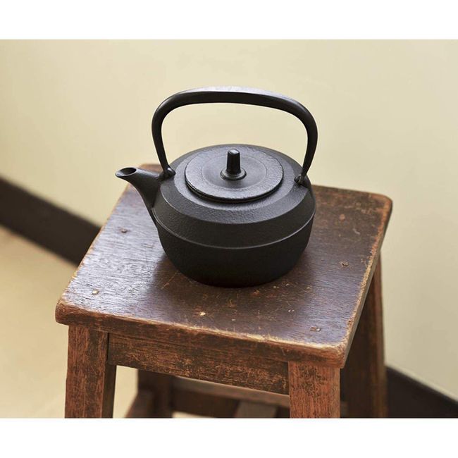 Cast Iron Teapot Tetsubin Tea Kettle Nambu Tekki