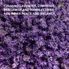 Weleda Relax Body Wash with Lavender, 400ml