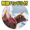 Petio EthicalDoor Dog Leasywear Harness Medium Red