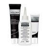 Kolora, Permanent Hair Color, 6.6 Intense Red/3pack