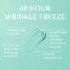 freezeframe 48 Hour Wrinkle Freeze Ice Roller Mask