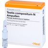 Heel Testis compositum N Ampullen, 10 St. Ampullen