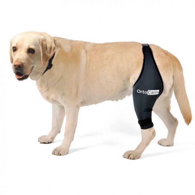 Ortocanis - Knee Brace for Dogs with Cruciate Ligament Injuries, Patella Dislocation or Osteoarthritis, XL, Left Leg