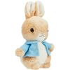 Sekiguchi 644438 Peter Rabbit Plush Peter Palm